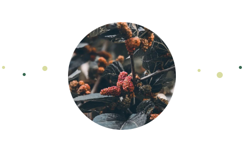 1681968868811683.png 3333.png